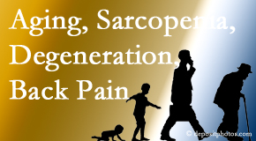 Chiropractic Spine Sports And Rehabilitation lessens a lot of back pain and sees a lot of related sarcopenia and back muscle degeneration.