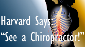 Tonawanda chiropractic for back pain relief urged by Harvard