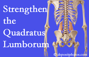 Tonawanda chiropractic care offers exercise recommendations to strengthen spine muscles like the quadratus lumborum as the back heals and recovers.