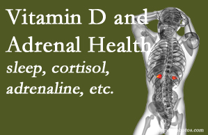 Chiropractic Spine Sports And Rehabilitation shares new research about the effect of vitamin D on adrenal health and function.