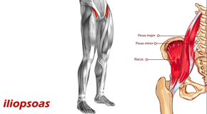 Tonawanda Back Pain and Iliopsoas Muscle Link