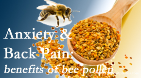 Chiropractic Spine Sports And Rehabilitation presents info on the benefits of bee pollen on cognitive function that may be impaired when dealing with back pain.