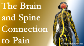 Chiropractic Spine Sports And Rehabilitation looks at the connection between the brain and spine in back pain patients to better help them find pain relief.