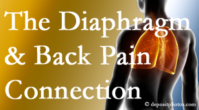 Chiropractic Spine Sports And Rehabilitation knows the relationship of the diaphragm to the body and spine and back pain. 