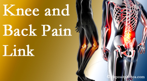 Chiropractic Spine Sports And Rehabilitation treats back pain and knee osteoarthritis to help avert falls.