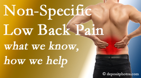 Chiropractic Spine Sports And Rehabilitation share the specific characteristics and treatment of non-specific low back pain. 