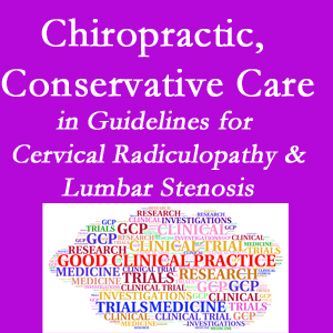 Tonawanda chiropractic care for cervical radiculopathy and lumbar spinal stenosis is often ignored in medical studies and guidelines despite documented benefits. 