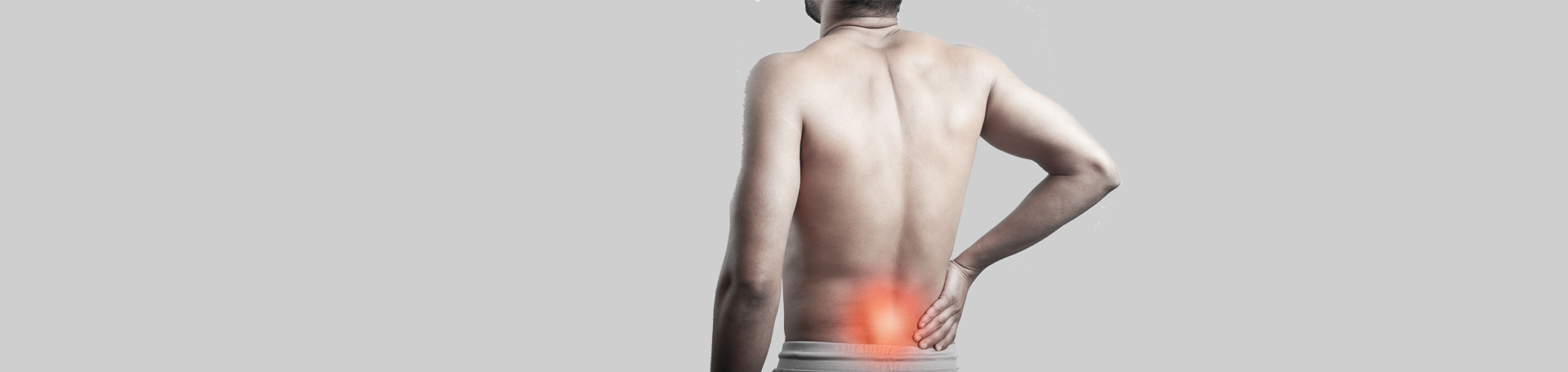 Tonawanda back paraspinal muscles