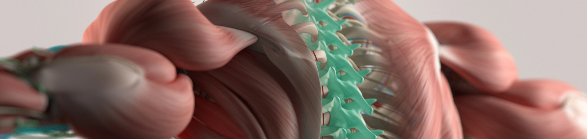 Tonawanda thoracic spine
