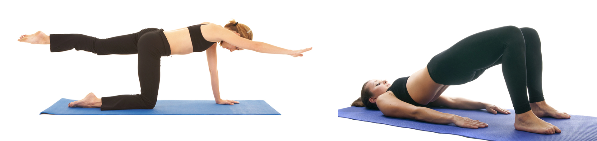 Tonawanda chiropractic exercise to strengthen multifidus