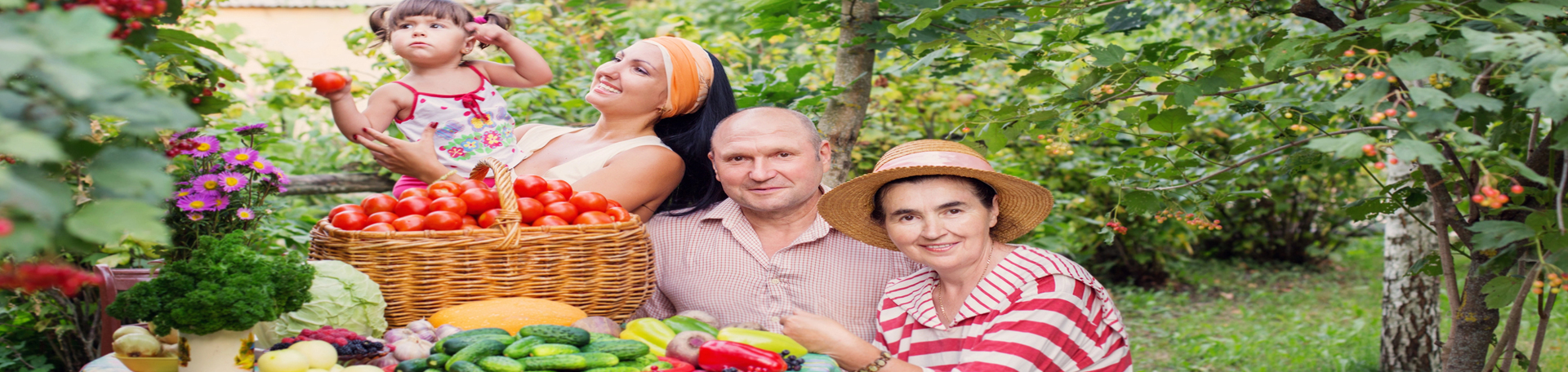 Tonawanda chiropractic summer health tips