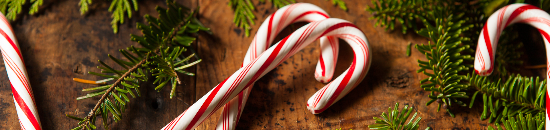 Peppermint for Tonawanda Cognition & Appetite Regulation!