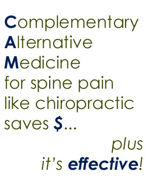 spine pain help from Tonawanda chiropractors