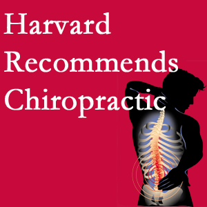 Chiropractic Spine Sports And Rehabilitation offers chiropractic care like Harvard recommends.