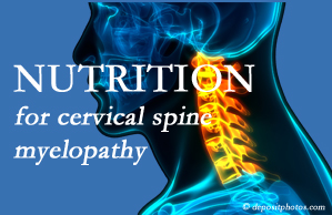 Chiropractic Spine Sports And Rehabilitation presents the nutritional factors in cervical spine myelopathy in its development and management.