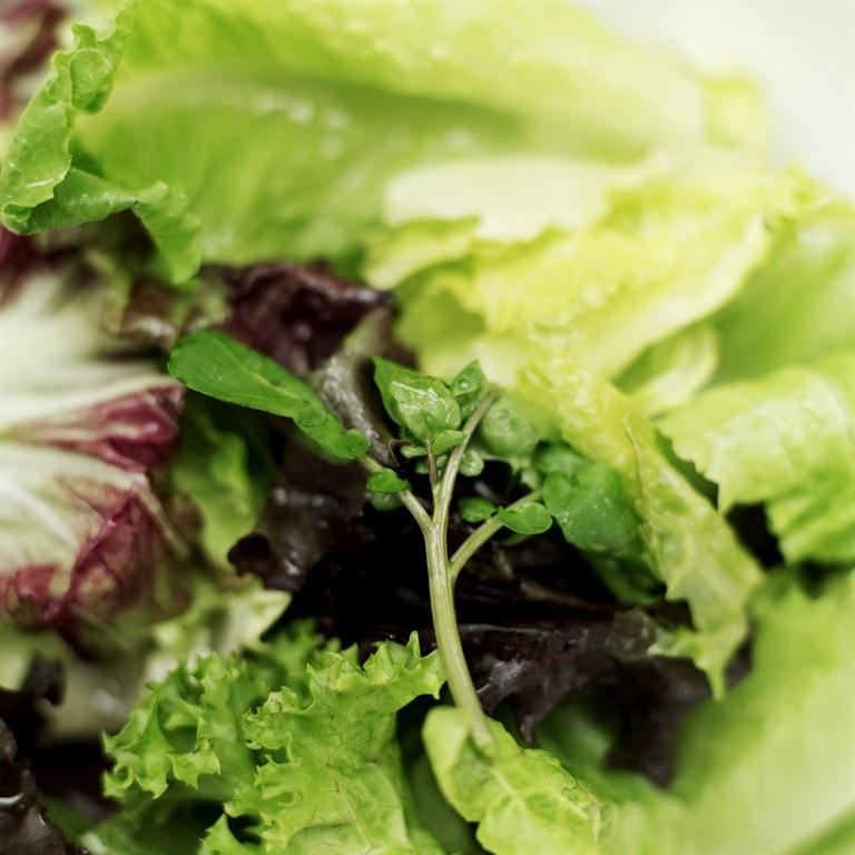 Lettuce for magnesium. 