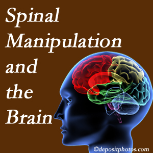 Chiropractic Spine Sports And Rehabilitation [shares research on the benefits of spinal manipulation for brain function. 